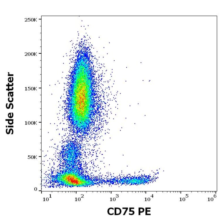 Flow Cytometry - Anti-CD75 Antibody [LN1] (PE) (A320725)