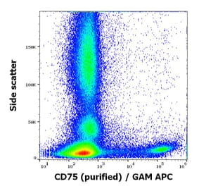 Flow Cytometry - Anti-CD75 Antibody [LN1] (A320726)