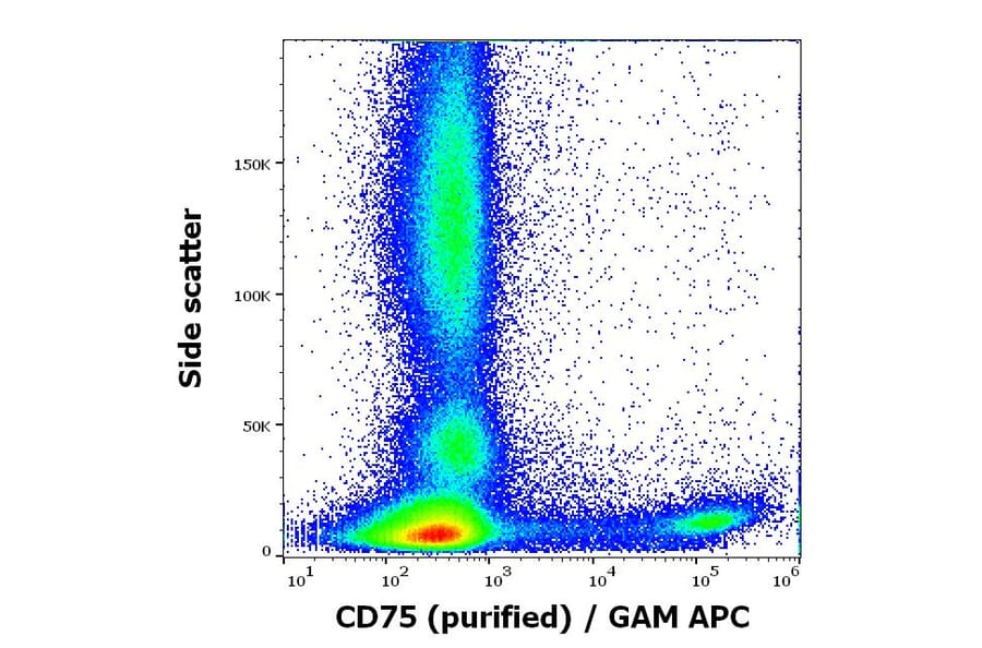 Flow Cytometry - Anti-CD75 Antibody [LN1] (A320726)