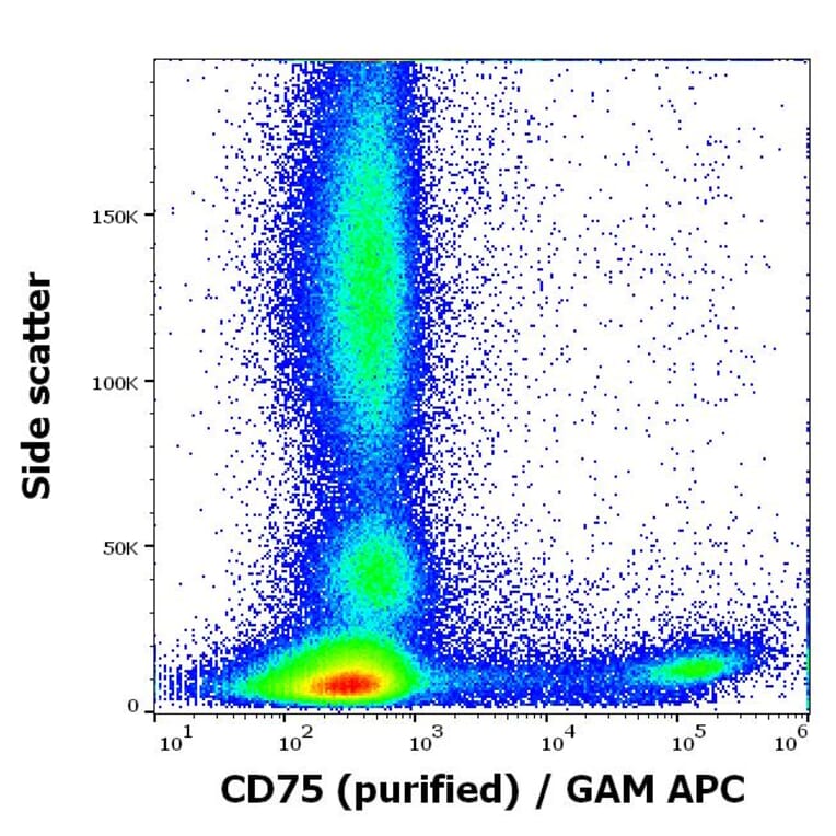 Flow Cytometry - Anti-CD75 Antibody [LN1] (A320726)