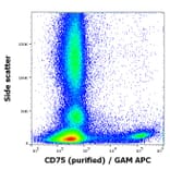 Flow Cytometry - Anti-CD75 Antibody [LN1] (A320726)