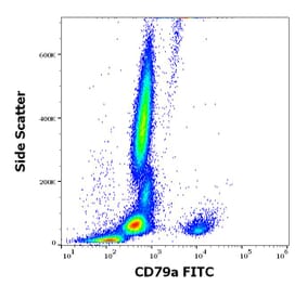 Flow Cytometry - Anti-CD79a Antibody [HM47] (FITC) (A320727)