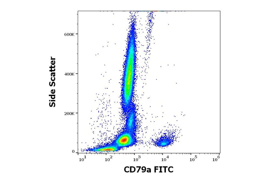 Flow Cytometry - Anti-CD79a Antibody [HM47] (FITC) (A320727)
