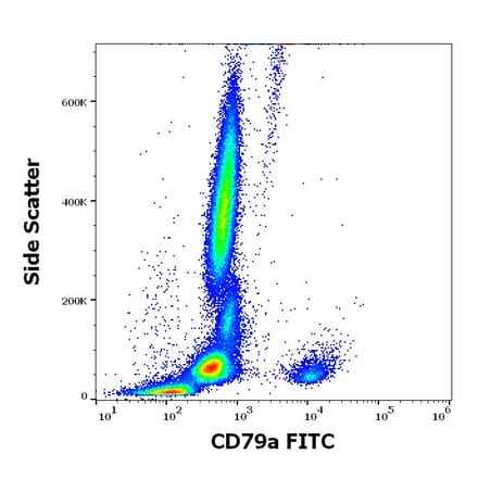 Flow Cytometry - Anti-CD79a Antibody [HM47] (FITC) (A320727)
