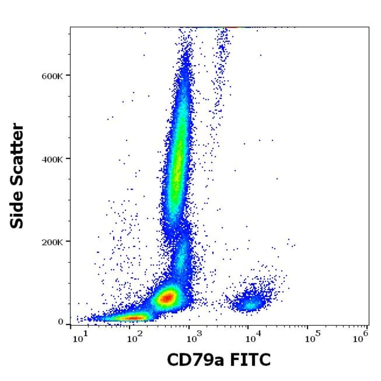 Flow Cytometry - Anti-CD79a Antibody [HM47] (FITC) (A320727)