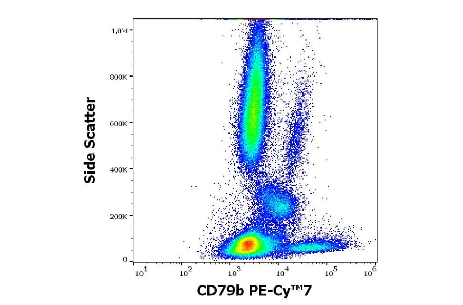 Flow Cytometry - Anti-CD79b Antibody [CB3-1] (PE-Cyanine 7) (A320728)