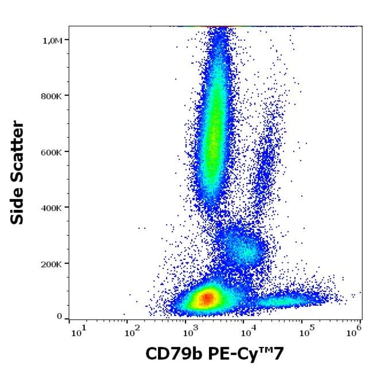 Flow Cytometry - Anti-CD79b Antibody [CB3-1] (PE-Cyanine 7) (A320728)