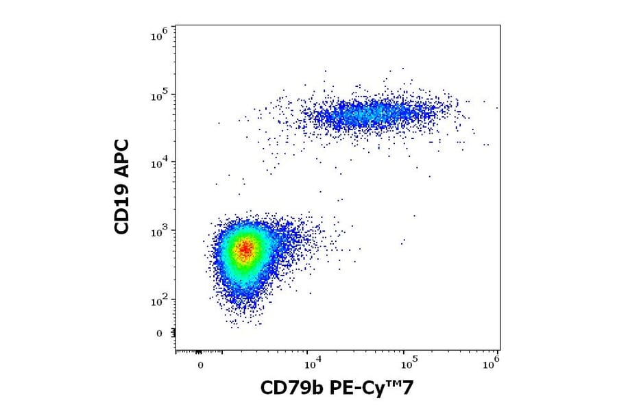Flow Cytometry - Anti-CD79b Antibody [CB3-1] (PE-Cyanine 7) (A320728)
