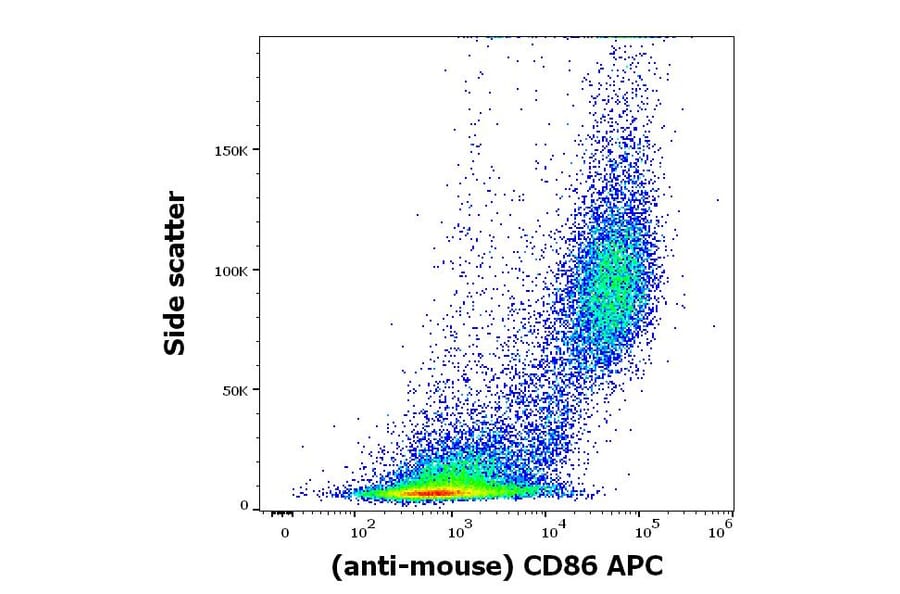 Flow Cytometry - Anti-CD86 Antibody [GL-1] (APC) (A320729)