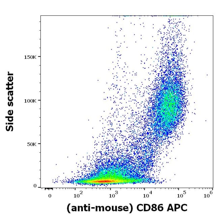 Flow Cytometry - Anti-CD86 Antibody [GL-1] (APC) (A320729)
