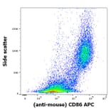 Flow Cytometry - Anti-CD86 Antibody [GL-1] (APC) (A320729)