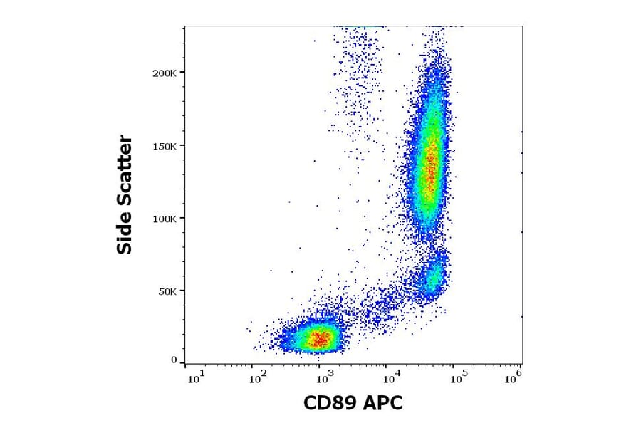 Flow Cytometry - Anti-CD89 Antibody [A59] (APC) (A320730)