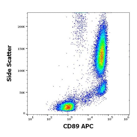 Flow Cytometry - Anti-CD89 Antibody [A59] (APC) (A320730)