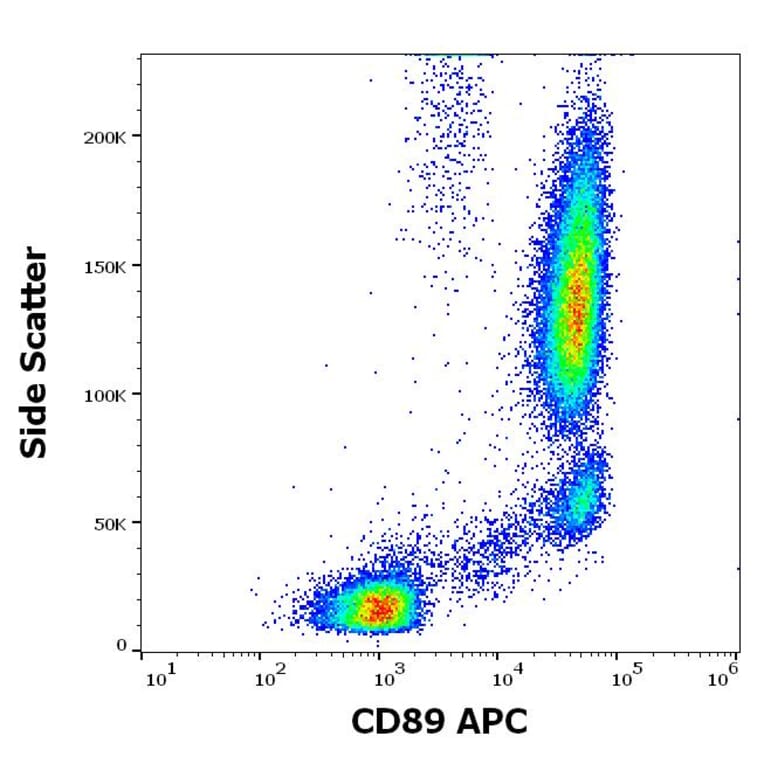 Flow Cytometry - Anti-CD89 Antibody [A59] (APC) (A320730)