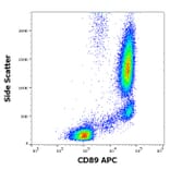 Flow Cytometry - Anti-CD89 Antibody [A59] (APC) (A320730)