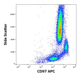 Flow Cytometry - Anti-CD97 Antibody [MEM-180] (APC) (A320732)