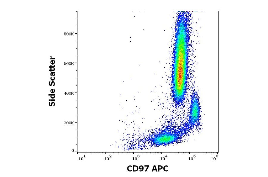 Flow Cytometry - Anti-CD97 Antibody [MEM-180] (APC) (A320732)