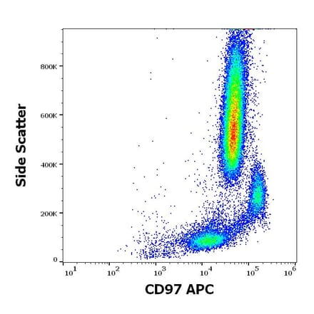Flow Cytometry - Anti-CD97 Antibody [MEM-180] (APC) (A320732)