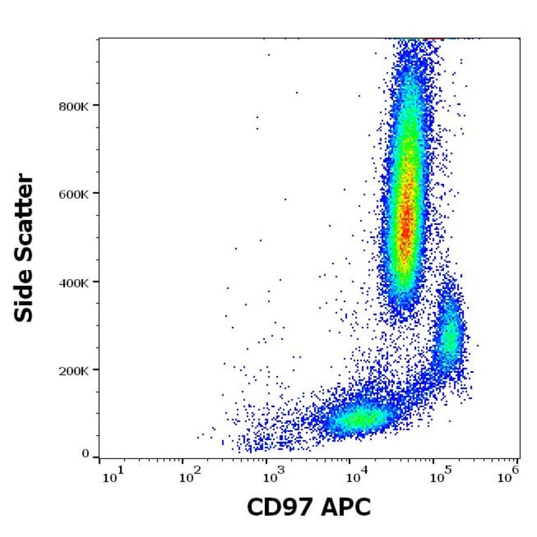 Flow Cytometry - Anti-CD97 Antibody [MEM-180] (APC) (A320732)