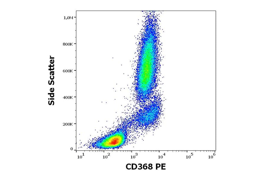 Flow Cytometry - Anti-CLEC4D Antibody [9B9] (PE) (A320736)