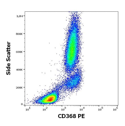 Flow Cytometry - Anti-CLEC4D Antibody [9B9] (PE) (A320736)