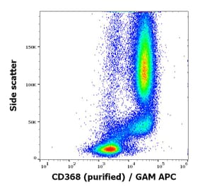 Flow Cytometry - Anti-CLEC4D Antibody [9B9] (A320737)