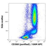 Flow Cytometry - Anti-CLEC4D Antibody [9B9] (A320737)