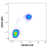 Flow Cytometry - Anti-FCRL1 Antibody [E3] (PE) (A320745)