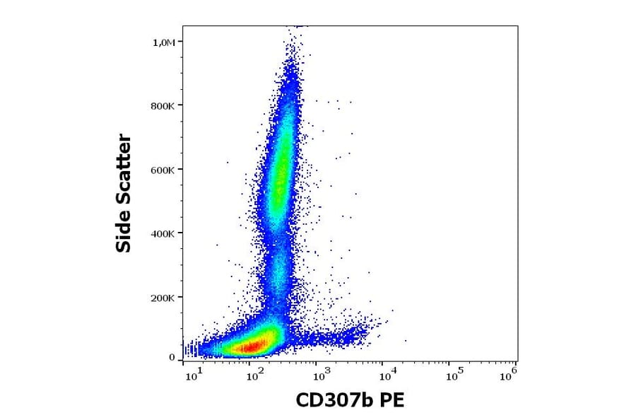 Flow Cytometry - Anti-FCRL2 Antibody [B24] (PE) (A320746)