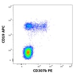 Flow Cytometry - Anti-FCRL2 Antibody [B24] (PE) (A320746)