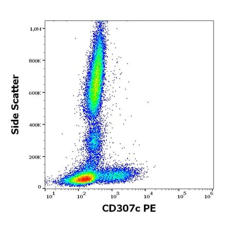 Flow Cytometry - Anti-FCRL3 Antibody [H5] (PE) (A320747)