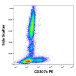 Flow Cytometry - Anti-FCRL3 Antibody [H5] (PE) (A320747)