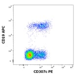 Flow Cytometry - Anti-FCRL3 Antibody [H5] (PE) (A320747)