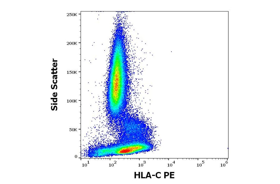 Flow Cytometry - Anti-HLA C Antibody [DT-9] (PE) (A320749)