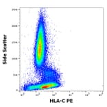 Flow Cytometry - Anti-HLA C Antibody [DT-9] (PE) (A320749)