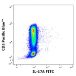 Flow Cytometry - Anti-IL-17A Antibody [9F9] (FITC) (A320754)