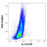 Flow Cytometry - Anti-IL-17A Antibody [9F9] (PE) (A320756)