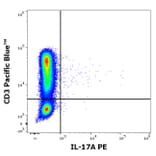 Flow Cytometry - Anti-IL-17A Antibody [9F9] (PE) (A320756)