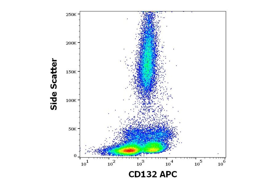 Flow Cytometry - Anti-IL-2RG Antibody [TUGh4] (APC) (A320761)