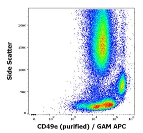 Flow Cytometry - Anti-Integrin alpha 5 Antibody [SAM1] (A320763)