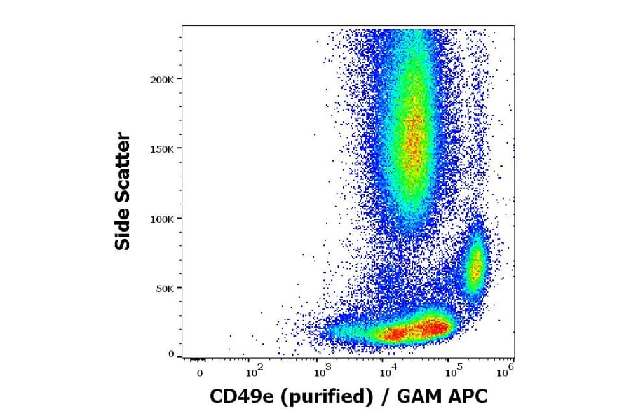 Flow Cytometry - Anti-Integrin alpha 5 Antibody [SAM1] (A320763)