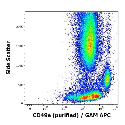 Flow Cytometry - Anti-Integrin alpha 5 Antibody [SAM1] (A320763)