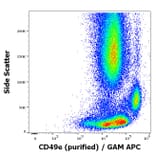 Flow Cytometry - Anti-Integrin alpha 5 Antibody [SAM1] (A320763)