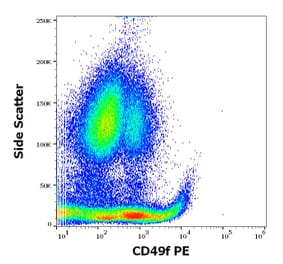 Flow Cytometry - Anti-Integrin alpha 6 Antibody [GoH3] (PE) (A320765)