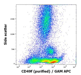 Flow Cytometry - Anti-Integrin alpha 6 Antibody [GoH3] (A320766)