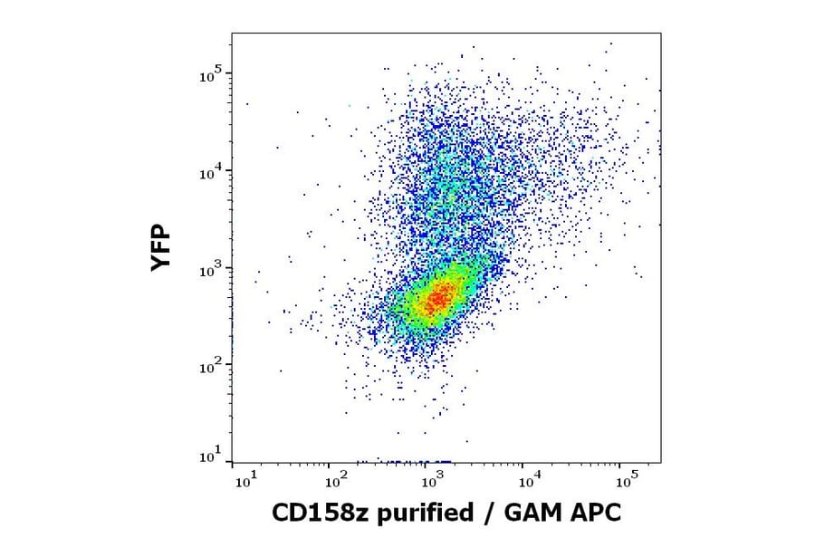 Flow Cytometry - Anti-KIR3DL3 Antibody [CH21] (A320767)