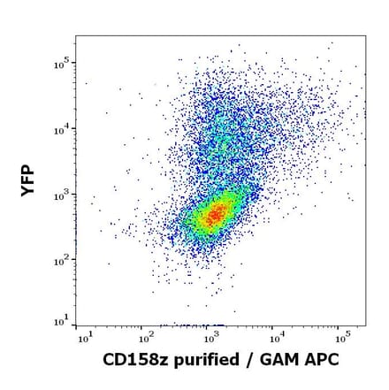 Flow Cytometry - Anti-KIR3DL3 Antibody [CH21] (A320767)