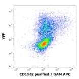 Flow Cytometry - Anti-KIR3DL3 Antibody [CH21] (A320767)