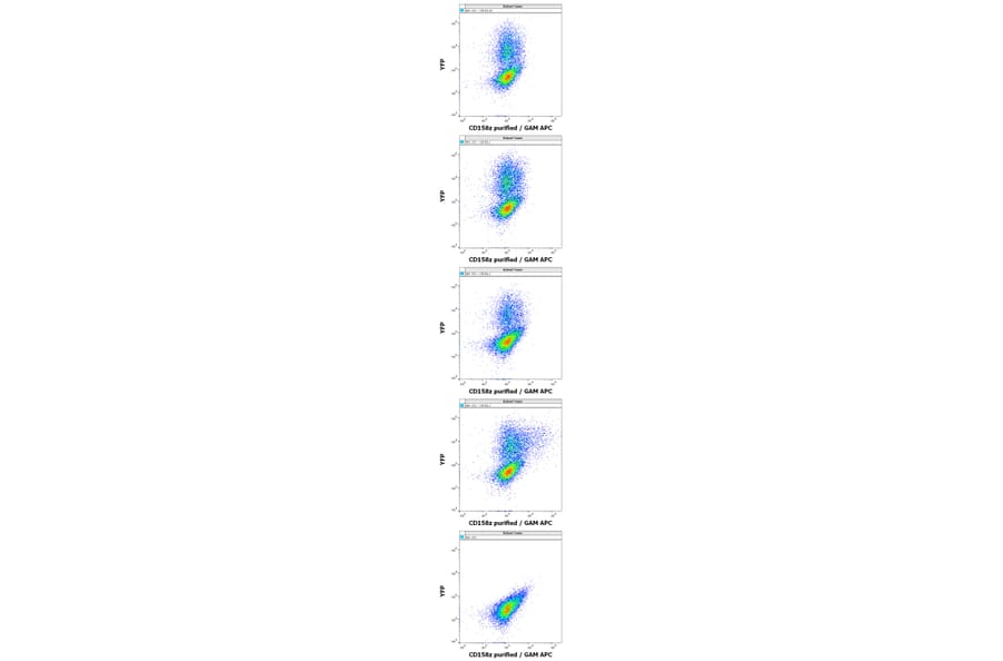 Flow Cytometry - Anti-KIR3DL3 Antibody [CH21] (A320767)