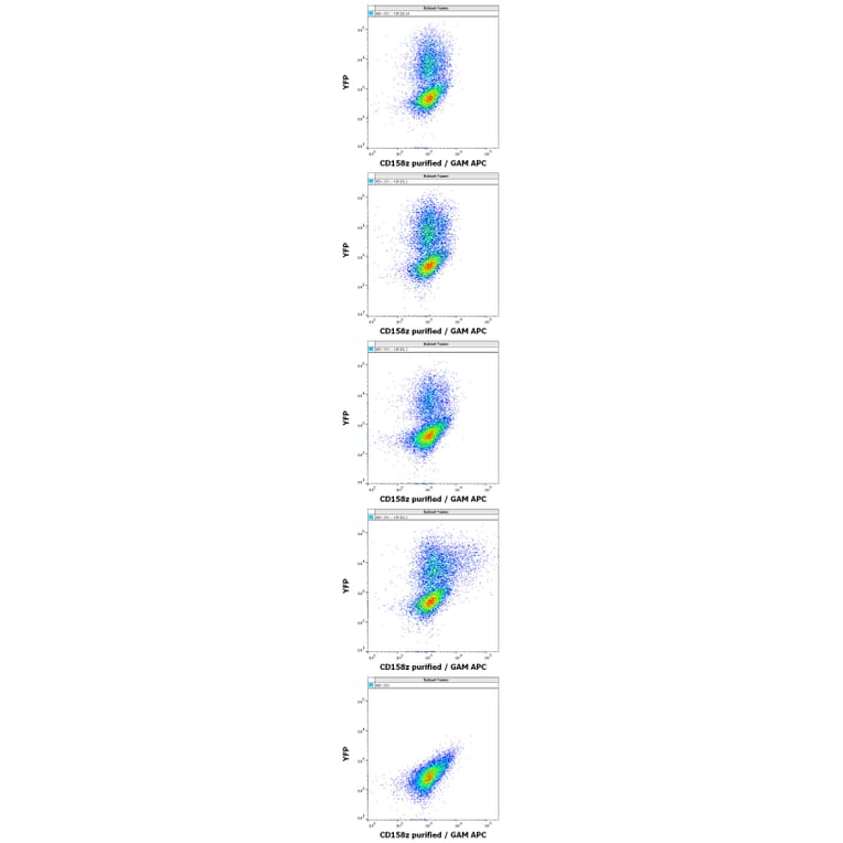 Flow Cytometry - Anti-KIR3DL3 Antibody [CH21] (A320767)